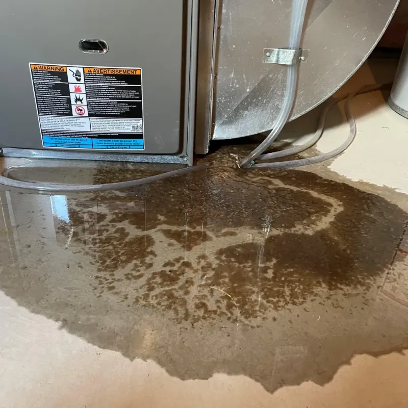 Appliance Leak Cleanup in Stallings, NC